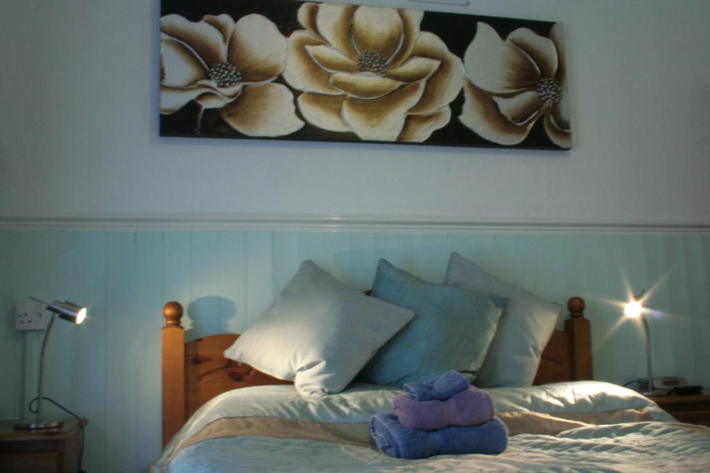 Devon View Guesthouse Swansea Szoba fotó