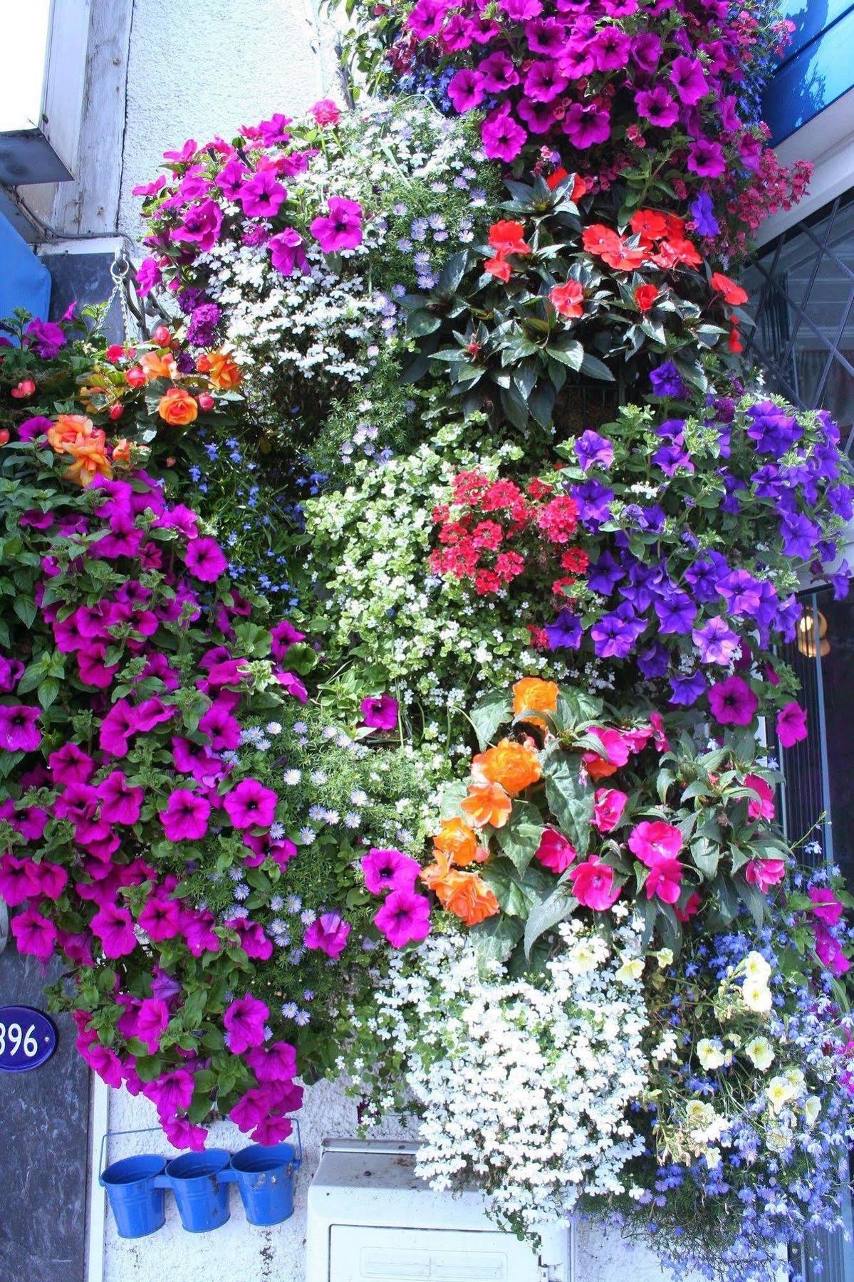 Devon View Guesthouse Swansea Kültér fotó