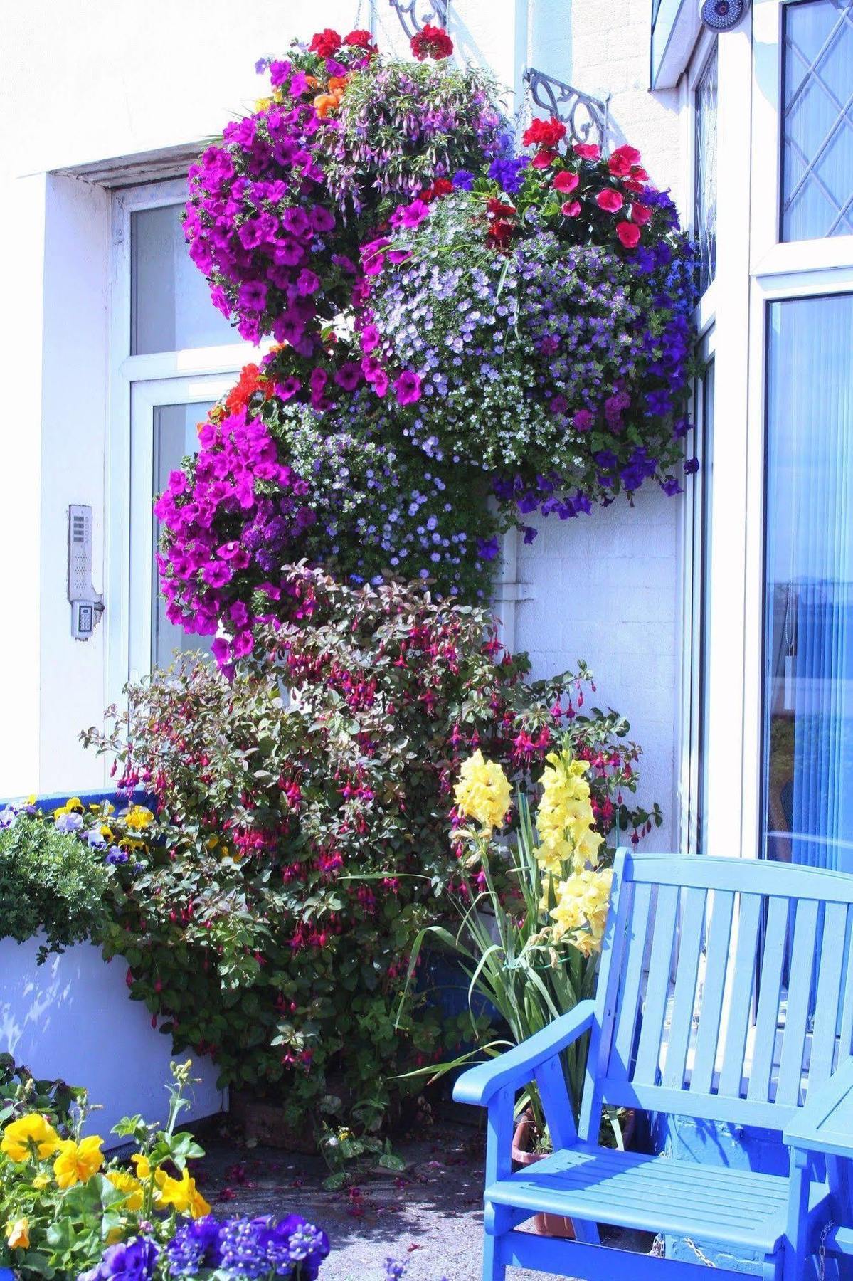Devon View Guesthouse Swansea Kültér fotó